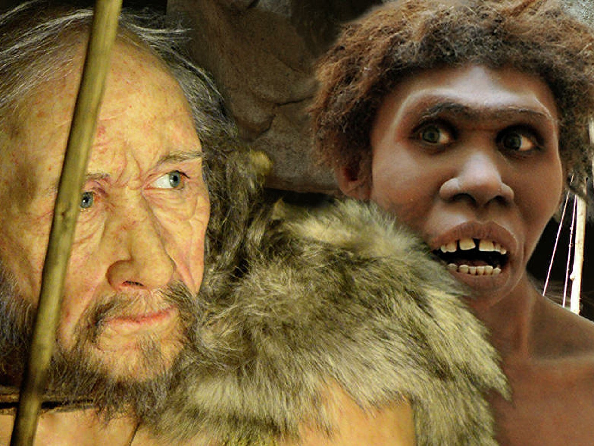 Неандертальцы предки кроманьонцев. Хомо сапиенс неандерталец кроманьонец. Кроманьонцы и неандертальцы и денисовцы. Homo sapiens sapiens кроманьонец. Патрик неандерталец.