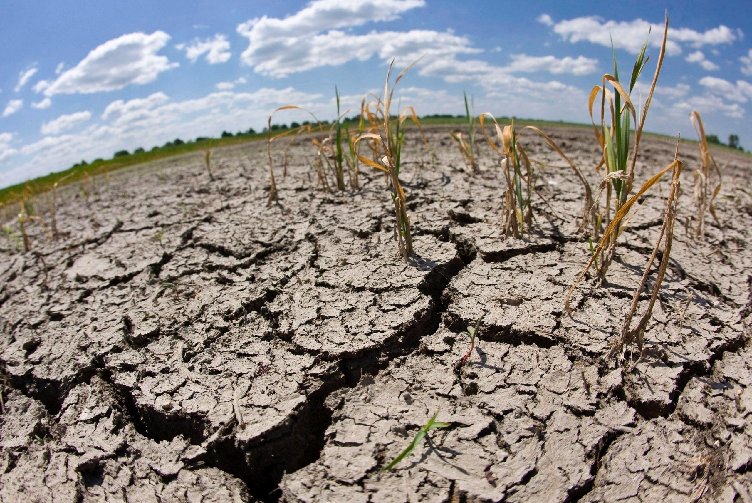 Почва страдает от. Засуха 2022. Засуха в России 2021. Почвенная засуха. Снижение плодородия почв.