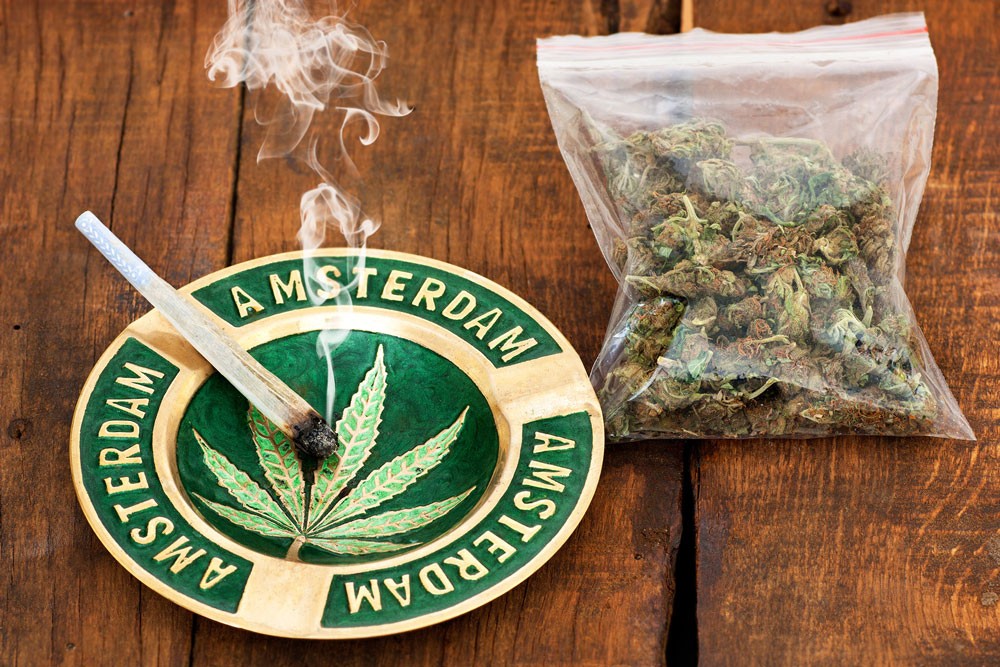 Амстердам запрет марихуаны теплица для выращивания марихуаны